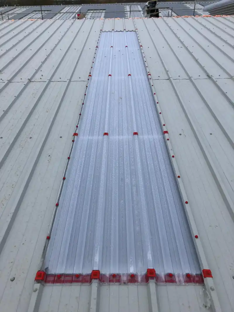 Project rooflight